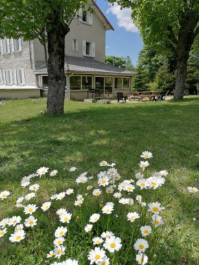 Maison La Vigne - Gîtes et Chambres d'hôtes